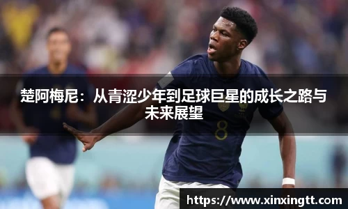 米兰体育官网